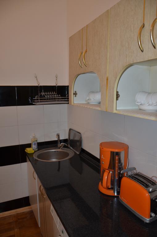 Apartment Viatores Lviv Kültér fotó
